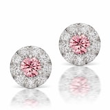 J Fine Platinum & 18K Rose Gold Argyle Pink™ Diamond Halo Stud Earrings