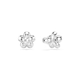 SWAROVSKI Una Angelica Capsule White Rhodium Plated Crystal Stud Earrings
