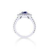 Mappin & Webb Alba Double Halo Platinum And 5mm Sapphire Ring