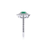 Mappin & Webb Alba Double Halo Platinum And 4mm Emerald Ring