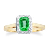 By Request 18ct Yellow and White Gold Emerald and Diamond Halo Ring