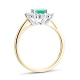 By Request 18ct Yellow and White Gold Emerald And Diamond Cluster Ring