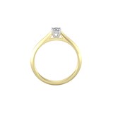 By Request 9ct White & Yellow Gold 0.33ct Diamond Ring