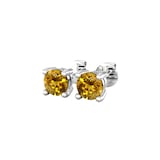 By Request 9ct White Gold 4 Claw Citrine Stud Earrings