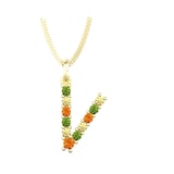 By Request 9ct Yellow Gold Multi Coloured Sapphire Initial V Pendant & Chain
