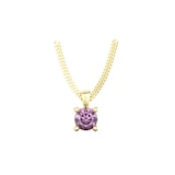 By Request 9ct Yellow Gold 4 Claw Amethyst Pendant & Chain