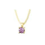 By Request 9ct Yellow Gold 4 Claw Amethyst Pendant & Chain