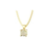 By Request 9ct Yellow Gold 4 Claw Opal Pendant & Chain