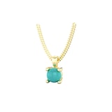 By Request 9ct Yellow Gold 4 Claw Turquoise Pendant & Chain