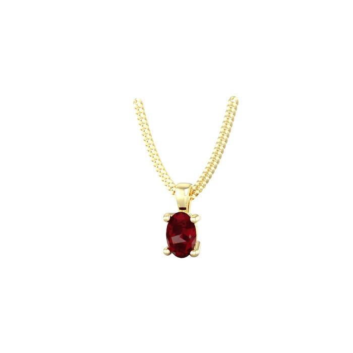 By Request 9ct Yellow Gold 4 Claw Oval Cut Garnet Pendant & Chain