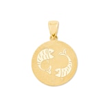 AMOR 9ct Yellow Gold Pisces Zodiac Pendant