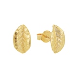 AMOR 9ct Yellow Gold Leaf Stud Earrings