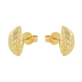 AMOR 9ct Yellow Gold Leaf Stud Earrings