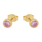 AMOR 9ct Yellow Gold Pink Cubic Zirconia Stud Earrings