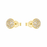 AMOR 9ct Yellow Gold Cubic Zirconia Circle Stud Earrings