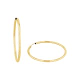 AMOR 9ct Yellow Gold Hoop Earrings