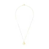 AMOR 9ct Yellow Gold World Map Pendant Necklace