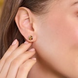 AMOR Sterling Silver Brown Cubic Zirconia Stud Earrings