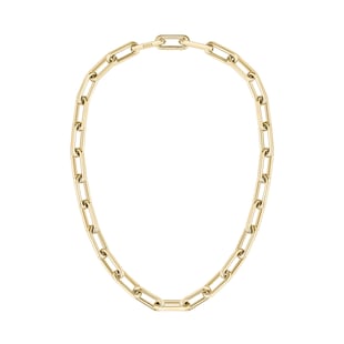 BOSS Ladies BOSS Halia Light Gold Coloured Linked Necklace