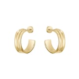 Boss Ladies BOSS Yellow Gold Coloured Ripple Hoop Earrings