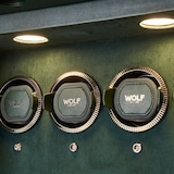 WOLF Athos 20 Piece Watch Winder Safe