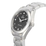 Pre-Owned Omega Seamaster Aqua Terra 150M O22010286051001