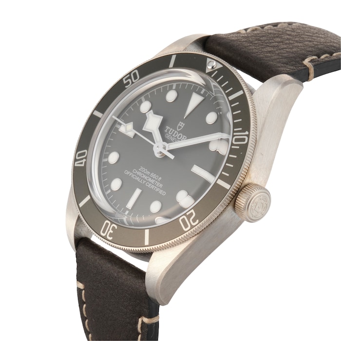 Pre-Owned Tudor Black Bay 58 925 M79010SG-0001