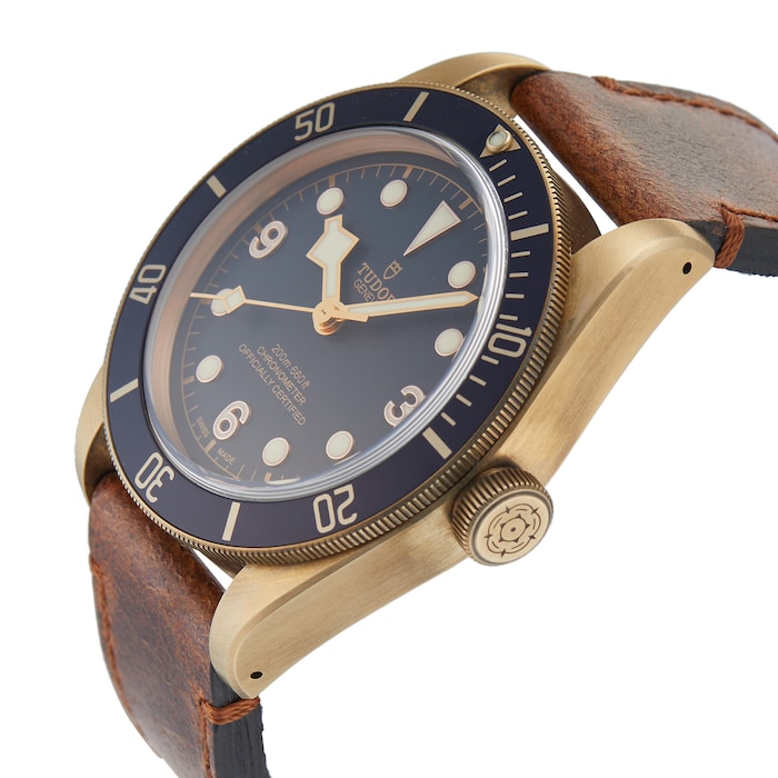 Pre-Owned Tudor Black Bay Heritage Bucherer Edition Mens Watch 79250BB-0001