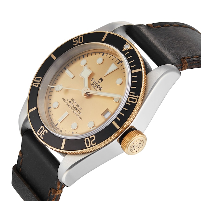 Pre-Owned Tudor Black Bay S&G Mens Watch M79733N | Watches Of 