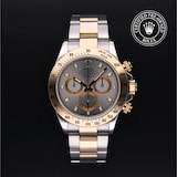 Rolex Rolex Certified Pre-Owned Cosmograph Daytona