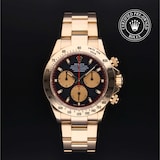 Rolex Rolex Certified Pre-Owned Cosmograph Daytona