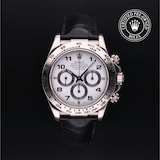 Rolex Rolex Certified Pre-Owned Cosmograph Daytona