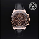 Rolex Rolex Certified Pre-Owned Cosmograph Daytona