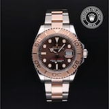 Rolex Rolex Certified Pre-Owned Yacht-Master