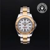 Rolex Rolex Certified Pre-Owned Yacht-Master 35