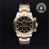 Rolex Rolex Certified Pre-Owned Cosmograph Daytona