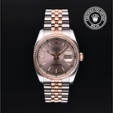 Rolex Rolex Certified Pre-Owned Datejust 36