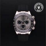 Rolex Rolex Certified Pre-Owned Cosmograph Daytona