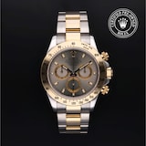 Rolex Rolex Certified Pre-Owned Cosmograph Daytona