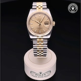 Rolex Rolex Certified Pre-Owned Datejust 36