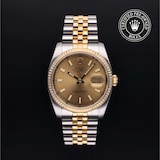 Rolex Rolex Certified Pre-Owned Datejust 36