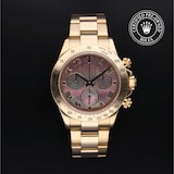 Rolex Rolex Certified Pre-Owned Cosmograph Daytona