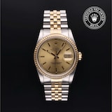 Rolex Rolex Certified Pre-Owned Datejust 36