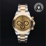 Rolex Rolex Certified Pre-Owned Cosmograph Daytona