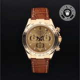 Rolex Rolex Certified Pre-Owned Cosmograph Daytona