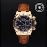 Rolex Rolex Certified Pre-Owned Cosmograph Daytona