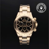 Rolex Rolex Certified Pre-Owned Cosmograph Daytona