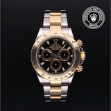 Rolex Rolex Certified Pre-Owned Cosmograph Daytona