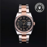 Rolex Rolex Certified Pre-Owned Datejust 36