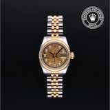 Rolex Rolex Certified Pre-Owned Lady-Datejust 26